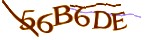 Mã bảo mật